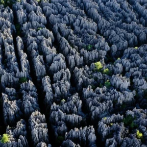 Tsingy De Bemaraha Myri Tour Madagascar