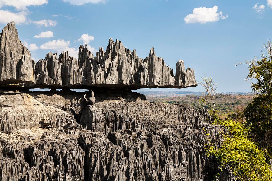 Le Tsingy et le Baobab